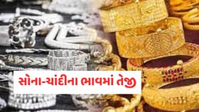 સોનામાં 5 ટકાનો તો ચાંદીમાં 13 ટકાનો વધારો