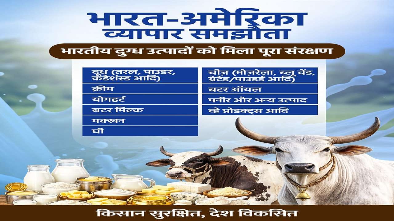 ડેરી પ્રોડક્ટ પણ આ ટ્રેડ ડીલમાંથી બાકાત છે. એટલે કે, ભારતીય પશુપાલન અને ડેરી ઉદ્યોગને રાહત આપવા માટે અમેરિકાથી કેટલીક ડેરી પ્રોડક્ટને આ ટ્રેડ ડીલ હેઠળ આયાત નહીં કરી શકાય. જેમા
દૂઘ, ક્રીમ, યોગાર્ટ, છાસ, માખણ, ઘી, ચીઝ, બટર ઓઈલ, પનીર વગેરેનો સમાવેશ થાય છે. 