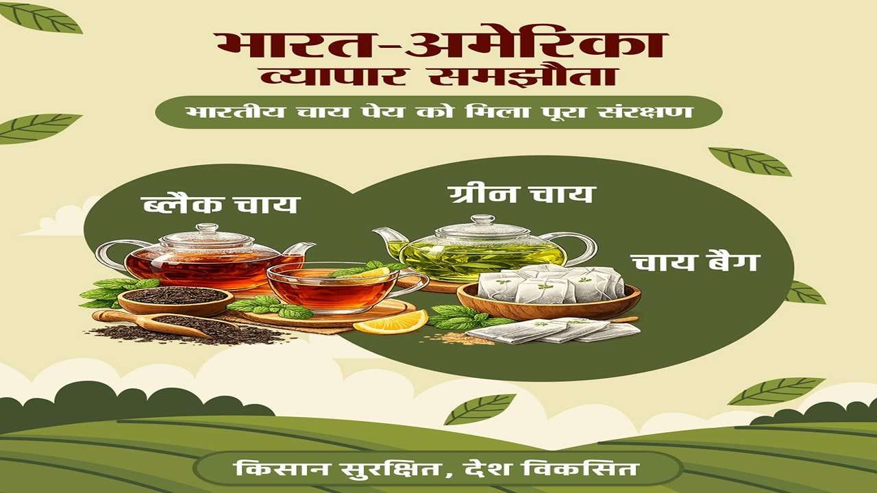 બ્લેક ચા, ગ્રીન ટી, ટી બેગ્સની આયાત ઉપર પણ નવા ટ્રેડ ડીલ અંતર્ગત પ્રતિબંધ લગાવવામાં આવ્યો છે. 