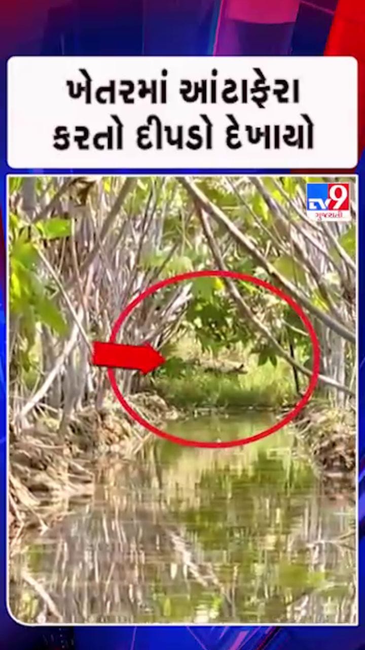 વન વિભાગે લોકોને સાવચેત રહેવા આપી સૂચના