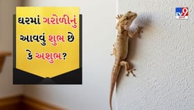 Vastu Tips : ઘરમાં ગરોળીનું વારંવાર દેખાવુ કઇ વાતનો છે સંકેત?