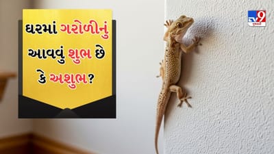 આપણા ઘરોમાં ગરોળી જોવી એ એક સામાન્ય ઘટના છે. આપણામાંથી મોટાભાગના લોકો તેને અવગણે છે, પરંતુ જ્યોતિષ, વાસ્તુ અને શુકન અનુસાર, ગરોળી ફક્ત કોઈ પ્રાણીની નિશાની નથી, પરંતુ તે ઘણીવાર આવનારા સમય વિશે શુભ કે અશુભ શુકન ધરાવે છે. 
