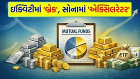 રોકાણકારો સ્મોલકેપ છોડીને લાર્જકેપ અને સોના તરફ વળ્યા