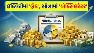 ઇન્વેસ્ટર્સનો ‘માસ્ટર પ્લાન’! ઇક્વિટીમાં ‘વેઇટ એન્ડ વોચ’, ગોલ્ડ અને હાઇબ્રિડ ફંડ્સમાં રોકાણકારોનો ‘ફુલ જોશ’