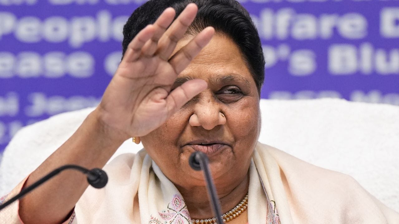 2001માં કાંશીરામે તેમને પોતાના ઉત્તરાધિકારી જાહેર કર્યા. 2003માં માયાવતી બસપાના રાષ્ટ્રીય અધ્યક્ષ બની હતી.1995માં, તેઓ ઉત્તર પ્રદેશના પ્રથમ દલિત મહિલા મુખ્યમંત્રી બની હતી.