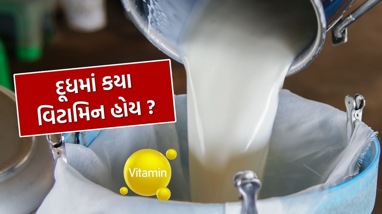 દરરોજ દૂધ પીવું શરીર માટે અત્યંત લાભદાયક માનવામાં આવે છે. દૂધ હાડકાંને મજબૂત બનાવે છે, શરીરને ઊર્જા આપે છે અને બાળકો થી લઈને પુખ્ત વયના લોકો સુધી સૌના આરોગ્યને સારું રાખવામાં મદદ કરે છે. દૂધમાં અનેક આવશ્યક વિટામિન હોય છે, જે શરીરના વિવિધ કાર્ય માટે મહત્વપૂર્ણ છે.