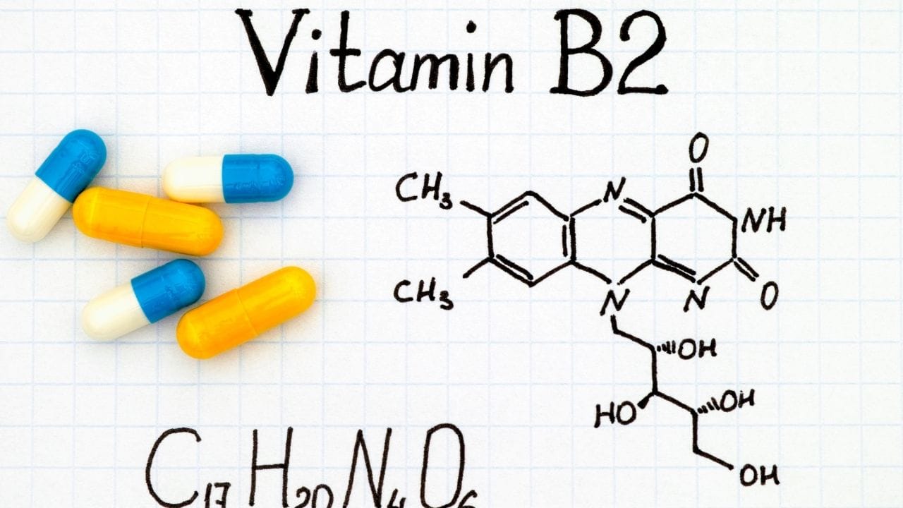 દૂધમાં મળતું વિટામિન B2 (રિબોફ્લેવિન) ખોરાકને ઊર્જામાં રૂપાંતરિત કરવામાં મદદ કરે છે. તે થાક ઘટાડે છે અને શરીરને દિવસભર સક્રિય અને ઉર્જાવાન રાખે છે.