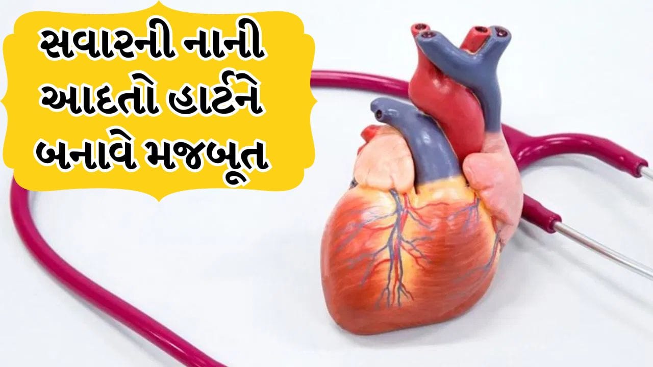 Healthy Heart : સવારની કઈ આદતો હૃદય માટે ફાયદાકારક છે ? જાણો ડોક્ટરો શું કહે છે