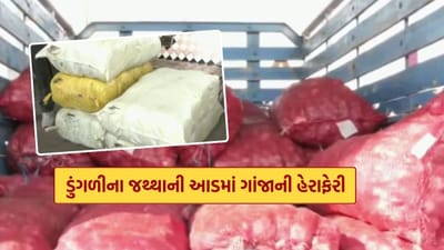 ડુંગળીને બનાવી ઢાલ, અમદાવાદ નારોલ પોલીસે 400 કિલોથી વધુ ગાંજો કબ્જે કર્યો, જુઓ Video ડુંગળીને બનાવી ઢાલ, અમદાવાદ નારોલ પોલીસે 400 કિલોથી વધુ ગાંજો કબ્જે કર્યો, જુઓ Video