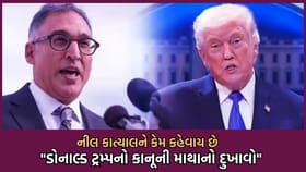ટ્ર્મ્પના ટેરિફને પડકારનારા ભારતીય મૂળના વકીલ નીલ કત્યાલ કોણ છે ?વાંચો
