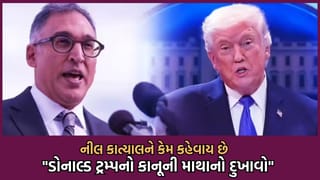 ટ્ર્મ્પના ટેરિફને પડકારનારા ભારતીય મૂળના વકીલ નીલ કાત્યાલ કોણ છે ? વાંચો