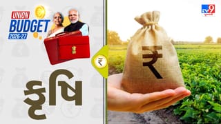 Breaking News Agriculture Budget 2026 : બજેટમાં ખેડુતોને મોટી ભેટ મળી, ખેડૂતો થયા ખુશ