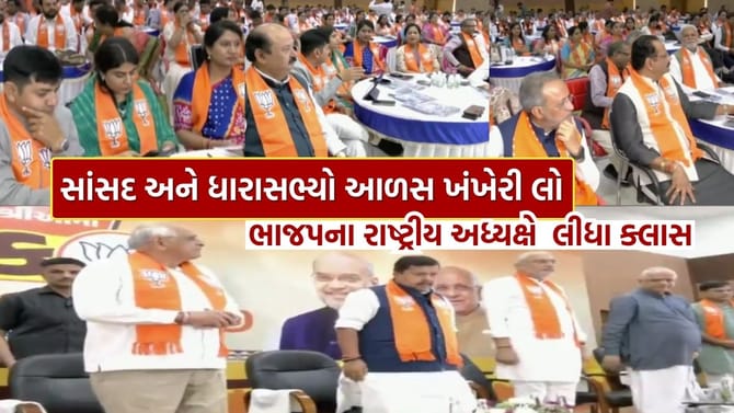 નીતિન નબીને સાંસદ અને ધારાસભ્યોના લીધા ક્લાસ, જુઓ Video