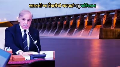 ભારતની સિંધુ નદી નજીક બંધ બાંધવાની કામગીરીથી  ફફડી ગયુ પાકિસ્તાન, ઈન્ટરનેશનલ કોર્ટમાં જવાની શરૂ કરી તૈયારી