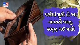 તમારા પર્સમાં મુકી દો આ નાનકડી પોટલી, તમામ નાણાકીય સમસ્યાઓ દૂર થઇ જશે