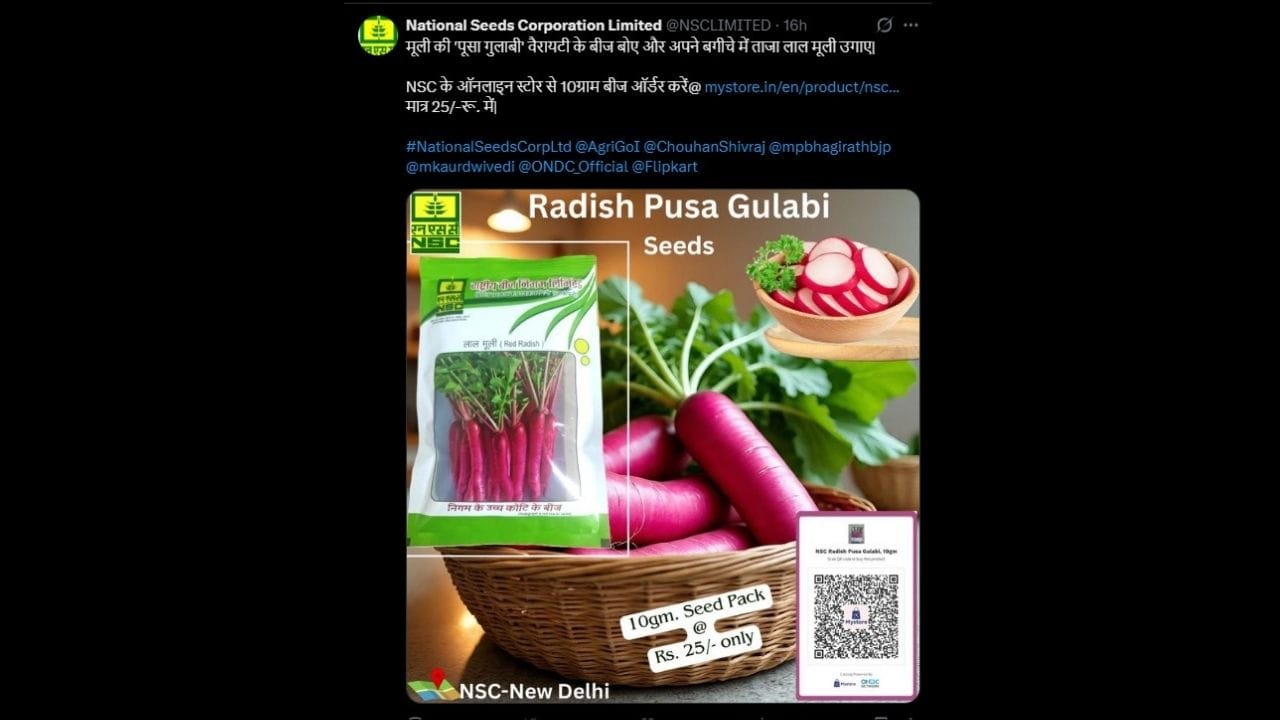 કિંમત: માત્ર 100 રૂપિયામાં 100 ગ્રામ બીજ મળી રહેશે, જે નાના બગીચા કે બાલ્કની ગાર્ડનિંગ માટે પૂરતા છે. ઓર્ડર કરતા પહેલા ધ્યાનમાં રાખજો કે આ બીજ 'નોન-કેન્સલેબલ' અને 'નોન-રિટર્નેબલ' છે. તેથી, વિશ્વાસપાત્ર સરકારી સંસ્થા NSC પાસેથી બીજ મંગાવીને તમે તમારી ગાર્ડનિંગની સફર નિશ્ચિંત થઈને શરૂ કરી શકો છો.