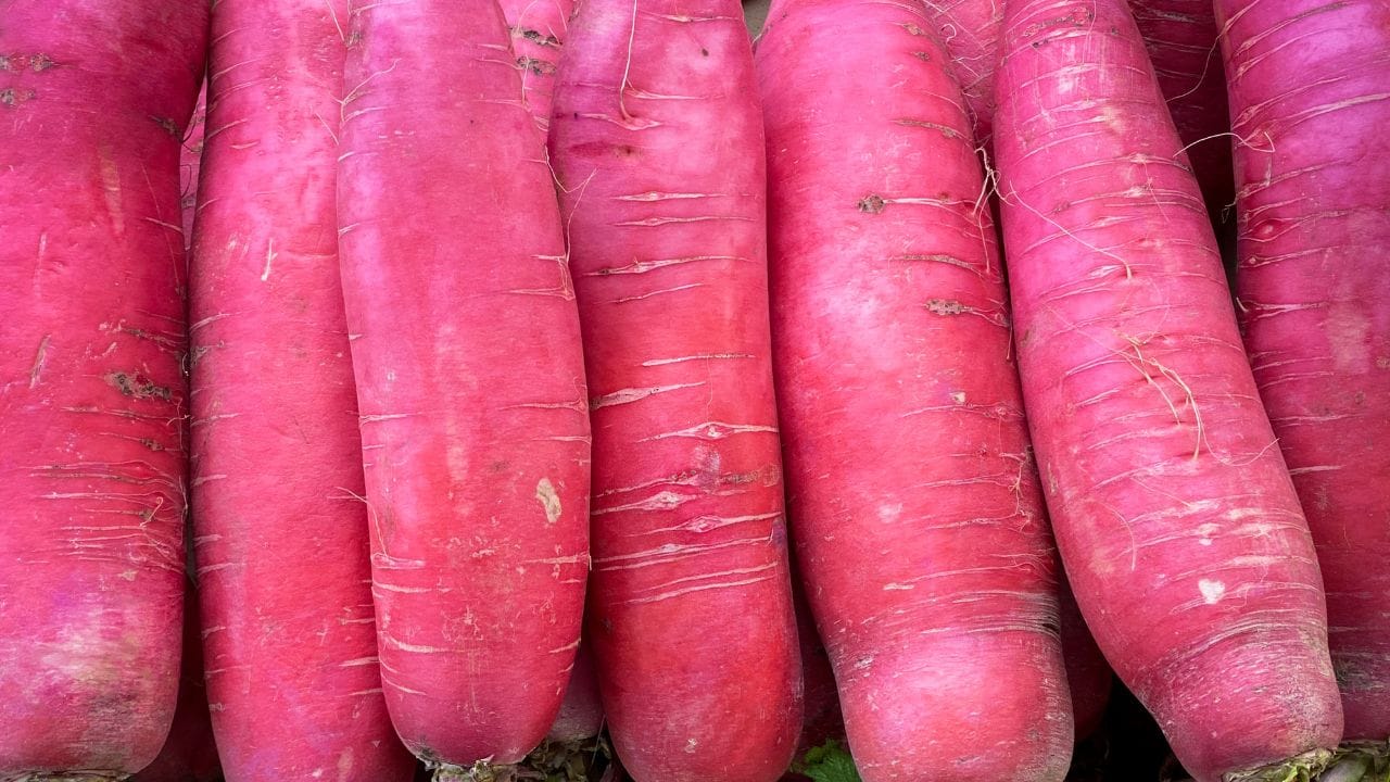 એસ્કોર્બિક એસિડ (વિટામિન C): ઘરે ઉગાડેલા તાજા મૂળામાં વિટામિન C જળવાઈ રહે છે, કારણ કે બજારમાંથી આવતા શાકભાજી લાંબા પરિવહનને કારણે પોતાના પોષક તત્વો ગુમાવી દે છે.