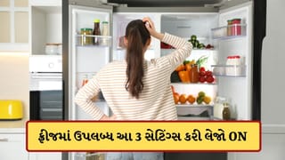 Refrigerator Tips: ગરમી શરુ થતા તમારા ફ્રિજમાં ON કરી લેજો આ 3 સેટિંગ્સ, નહીં તો અંદર રાખેલ શાકભાજી અને ફળો ખરાબ થઈ જશે