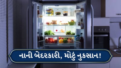 Refrigerator Tips: રેફ્રિજરેટર વારંવાર કેમ ન ખોલવું જોઈએ, તેનાથી કેટલું નુકસાન થાય છે?