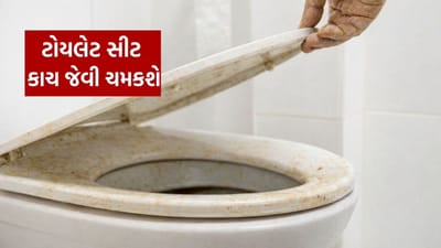 ટોયલેટ સીટ પર ઘણીવાર જિદ્દી પીળા ડાઘ પડી જાય છે. આ ડાઘ માત્ર ગંદા જ નથી દેખાતા પણ તેમાં બેક્ટેરિયા પણ હોઈ શકે છે.