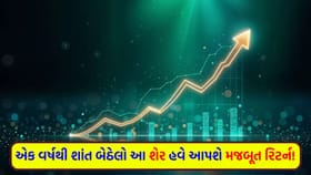 રોકાણકારોને થશે 'મોટો ફાયદો', આ શેર હવે આપશે સરપ્રાઇઝ રિટર્ન