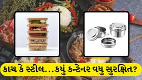 કાચ કે સ્ટીલમાં ખાવાનું પેક કરવું યોગ્ય? જાણો
