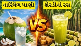 સમરમાં ડીહાઇડ્રેશનથી બચવા માટે શેરડીનો રસ પીશો કે નારિયેળ પાણી?