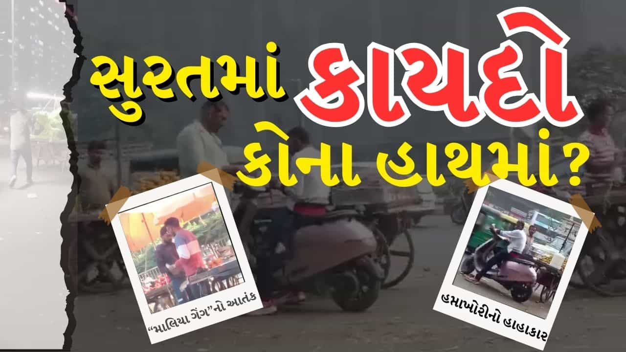 Breaking News : “માલિયા ગેંગ”નો આતંક બેફામ, ગૃહરાજ્ય પ્રધાનના ગઢમાં કાયદો માત્ર કાગળ પર જ છે? જુઓ Video