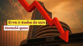 23,32,275 રોકાણકારો વાળી દેશની દિગ્ગજ IT કંપનીના થયા ખરાબ હાલ