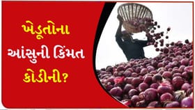 ડુંગળીના ભાવ તળિયે બેસાડી કોણ કરી રહ્યું છે કરોડોની કમાણી?