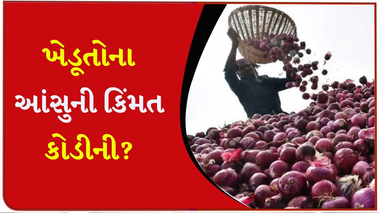 ભ્રષ્ટાચાર કે મજબૂરી ? જગતના તાતની આશાઓ પર ફરી વળ્યું પાણી, હવે જો સરકાર નહીં જાગે તો ખેડૂત ક્યાં જશે? - જુઓ Video ભ્રષ્ટાચાર કે મજબૂરી ? જગતના તાતની આશાઓ પર ફરી વળ્યું પાણી, હવે જો સરકાર નહીં જાગે તો ખેડૂત ક્યાં જશે? - જુઓ Video