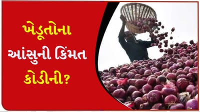 ભ્રષ્ટાચાર કે મજબૂરી ? જગતના તાતની આશાઓ પર ફરી વળ્યું પાણી, હવે જો સરકાર નહીં જાગે તો ખેડૂત ક્યાં જશે? - જુઓ Video