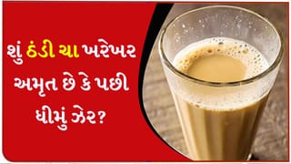 ઠંડી ચા પીવાથી શરીર પર શું અસર થાય છે? ફાયદા અને નુકસાન બંને જાણી લો…