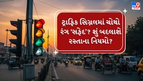 લાલ, પીળા અને લીલા સિગ્નલ બાદ શું હવે આવશે સફેદ લાઇટ?