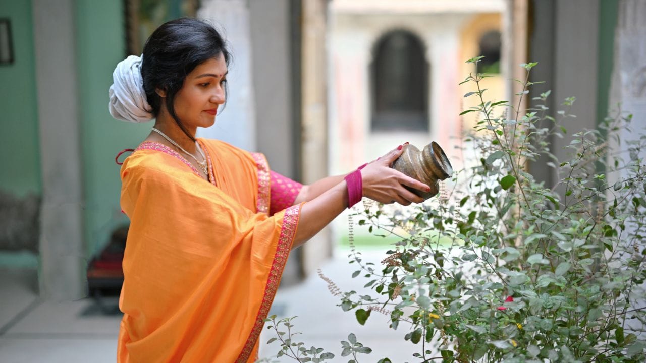 આપણા આંગણામાં મહેકતો તુલસીનો છોડ માત્ર ધાર્મિક આસ્થાનું પ્રતીક નથી, પણ તે ઘરના વાતાવરણને શુદ્ધ કરતું એક જીવંત કવચ છે. હું માનું છું કે તુલસી એ 'જીવતી-જાગતી ઔષધિ' છે જે શરદી-ઉધરસ જેવા રોગોમાં રામબાણ ઈલાજ આપે છે. પરંતુ, જ્યારે આ પવિત્ર છોડ સુકાવા લાગે કે તેના પાંદડા ખરવા લાગે, ત્યારે મનમાં એક પ્રકારની 'નિરાશા' અને ચિંતા જન્મે છે. જો તમારી તુલસી પણ કરમાઈ રહી હોય, તો ગભરાશો નહીં; પ્રકૃતિ પાસે જ તેના દરેક પ્રશ્નનો ઉકેલ છે.