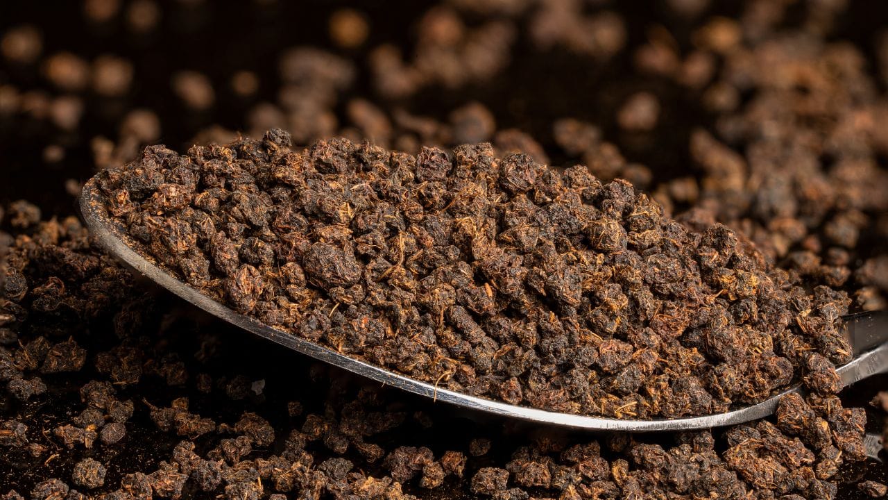 રસોડાની આ એક વસ્તુ તમારી તુલસીમાં ફૂંકશે નવા પ્રાણ:  તમારા રસોડામાં વપરાતી ચા-પત્તી તુલસી માટે શ્રેષ્ઠ નાસ્તો છે. પરંતુ સાવધાન!  વપરાયેલી ચા-પત્તીને સીધી કુંડામાં ક્યારેય ન નાખવી. તેમાં રહેલી ખાંડ અને દૂધના અંશો કુંડામાં કીડીઓ અને ફૂગને આમંત્રણ આપી શકે છે. જેથી વપરાયેલી ચા-પત્તીને પાણીથી બરાબર ધોઈ લો જેથી બધી ખાંડ નીકળી જાય. ત્યારબાદ તેને તડકામાં બરાબર સૂકવીને પાવડર જેવી કરી લો. "ચાયપત્તીમાં નાઇટ્રોજન ભરપૂર માત્રામાં હોય છે, જે છોડની વૃદ્ધિને વેગ આપે છે અને પાંદડાને હરિયાણા બનાવે છે."  આ કુદરતી ખાતરનો મહિનામાં માત્ર ૧ થી ૨ વાર ઉપયોગ કરવાથી તમારી તુલસીમાં નવી કૂંપળો ફૂટવા લાગશે અને પાંદડામાં જોમ આવશે.
