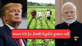ભારત-અમેરિકા ડીલને લઇને મોટા સમાચાર, ખેડૂતોને નહીં થાય નુકસાન