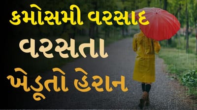 Breaking News : ખેડૂતો ALERT ! હાથમાં આવેલો કોળિયો… આકાશે છીનવી લીધો, ફળોના રાજા પર આકાશી આફત