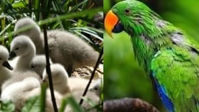 Vastu Tips: ઘરની આસપાસ ઘટનારી આ વિશેષ ઘટનાઓ લાવે છે શુભ સંકેત