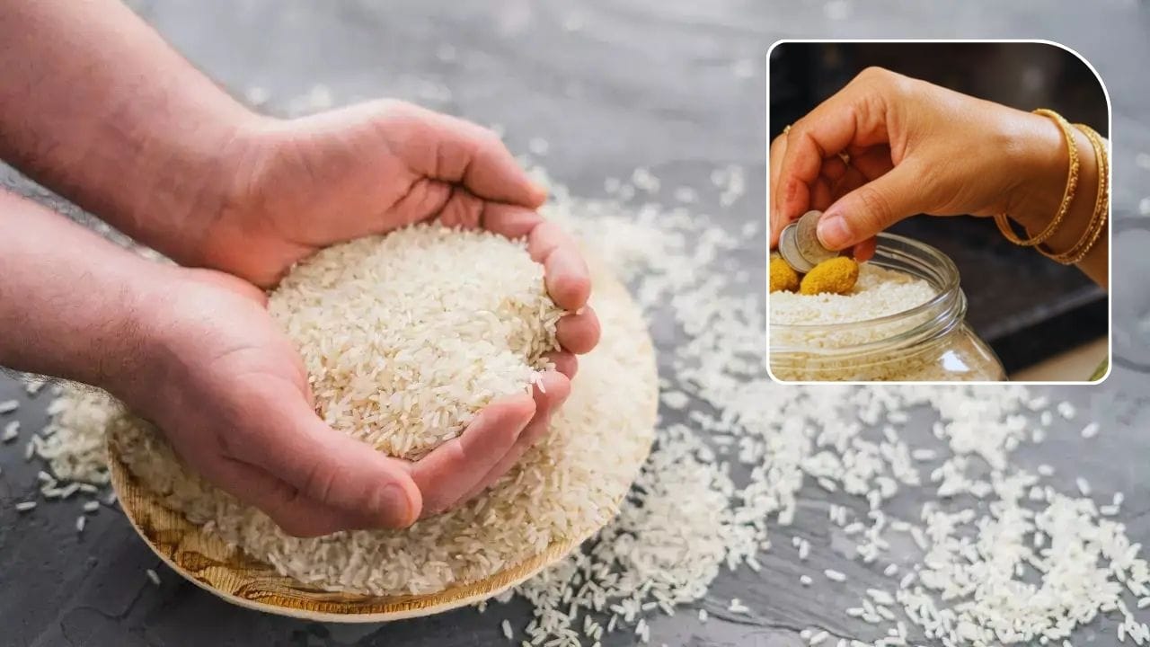 હિંદુ ધર્મમાં, ચોખાને ખોરાક અને સમૃદ્ધિનું પ્રતીક માનવામાં આવે છે. એવું કહેવાય છે કે જે ઘરોમાં ચોખાનો ડબ્બો હંમેશા ભરેલો રહે છે ત્યાં ક્યારેય ખોરાક અને ધનની અછતનો સામનો કરવો પડતો નથી. રસોડામાં ચોખાના ડબ્બાને સાફ રાખો. તેમાં થોડા સિક્કા અને હળદરનો ગઠ્ઠો મૂકવો શુભ માનવામાં આવે છે.વાસ્તુ અનુસાર, લાલ કપડામાં ચોખાના દાણામાં બાંધેલા બે ચાંદીના સિક્કા અથવા પીળી હળદરનો ગઠ્ઠો છુપાવવાથી તમારા રસોડામાં "અન્નપૂર્ણા" આવશે. આ નાનો, ગુપ્ત ઉપાય ખાતરી કરે છે કે તમારા ઘરમાંથી સમૃદ્ધિ ક્યારેય ઓછી ન થાય અને નકામા ખર્ચને અટકાવે.

