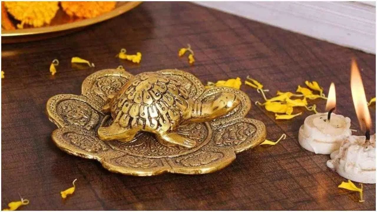 વાસ્તુ અનુસાર, ધાતુનો કાચબો તમારા ઘરમાં સ્થિરતા અને સકારાત્મક ઉર્જા લાવે છે. એવું માનવામાં આવે છે કે તે સંપત્તિ એકઠી કરવામાં અને ધીમે ધીમે વધવામાં મદદ કરે છે. તેને ઘરની ઉત્તર દિશામાં પાણીથી ભરેલા નાના વાસણમાં મૂકવું જોઈએ. તે ઘરના વડાના લાંબા આયુષ્ય અને કાર્ય સ્થિરતા સાથે પણ સંકળાયેલું છે.
