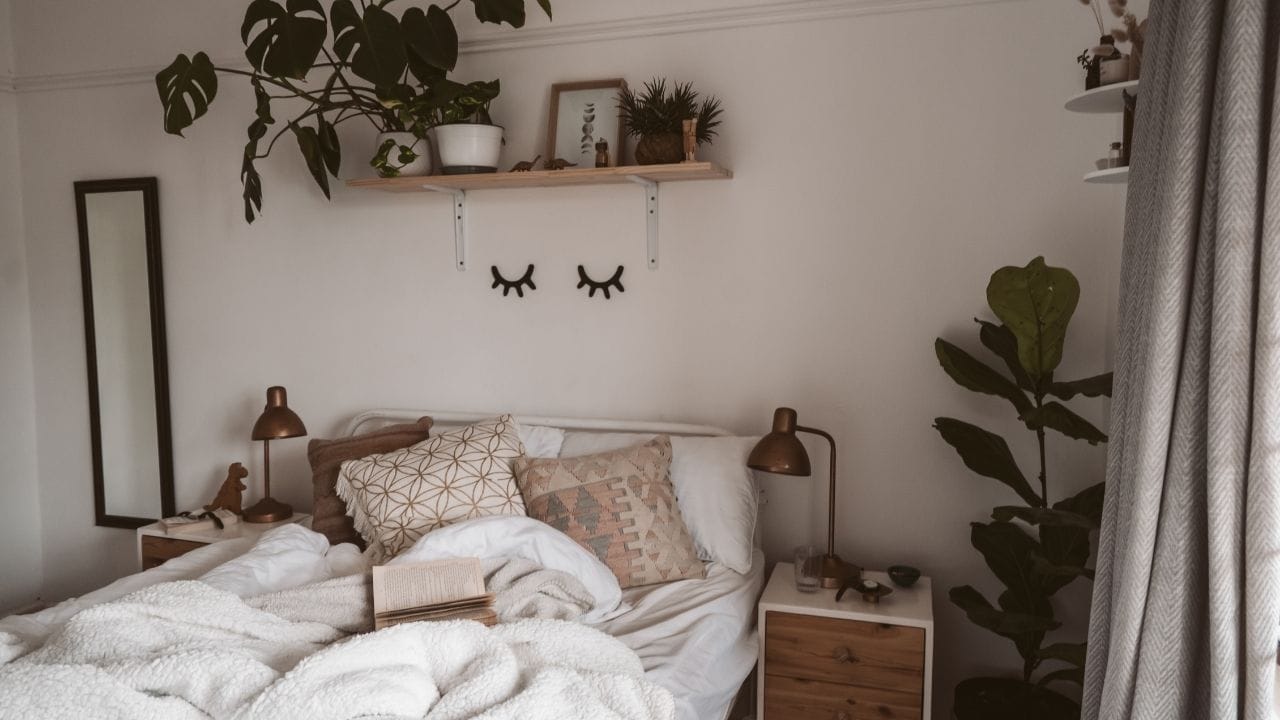 હોળી પહેલા ઘરમાંથી સૂકા અને સુકાઈ ગયેલા છોડ દૂર કરવાનું ખૂબ શુભ માનવામાં આવે છે. વાસ્તુ શાસ્ત્ર અનુસાર, તુલસી, મની પ્લાન્ટ અથવા અન્ય કોઈપણ સૂકા છોડ ઘરમાં નકારાત્મક ઉર્જા ફેલાવે છે. આવા છોડ ઘરની પ્રગતિને અટકાવી શકે છે અને સુખ-સમૃદ્ધિને અસર કરી શકે છે. તેથી, હોળી પહેલા ઘરની સફાઈ દરમિયાન સૂકા છોડ દૂર કરીને નવા અને લીલા છોડ લગાવવાથી ઘરમાં સકારાત્મકતા અને સમૃદ્ધિ આવે છે.