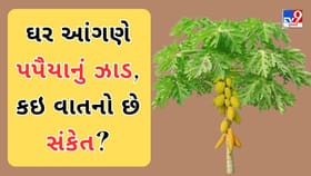 Vastu Tips : તમારા ઘર સામે છે પપૈયાનું ઝાડ? જાણો શુભ છે કે અશુભ