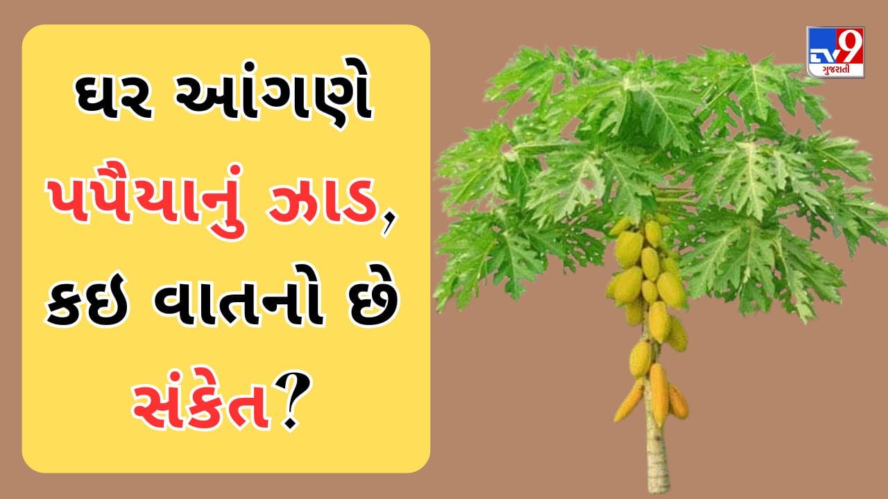 ઘર કઈ દિશામાં હોવું જોઈએ, ઘરની વસ્તુઓ ક્યાં રાખવી જોઈએ અને તેનો ઉપયોગ કેવી રીતે કરવો જોઈએ? વાસ્તુ શાસ્ત્ર આવા ઘણા મુદ્દાઓ અંગે માહિતી આપે છે. તે ઘરમાં કયા વૃક્ષો અને છોડ વાવી શકાય તેની માહિતી પણ આપે છે.