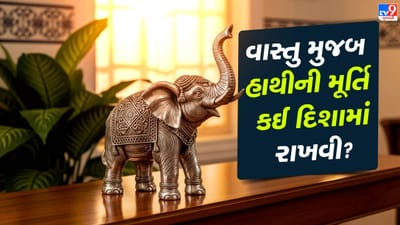 જીવનમાં પરિસ્થિતિઓ સતત બદલાતી રહે છે અને દરેક વ્યક્તિને સુખ-દુખ તથા સફળતા-અસફળતાના તબક્કાઓમાંથી પસાર થવું પડે છે. ઘણીવાર કામો બરાબર ચાલી રહ્યા હોય છે, પરંતુ અચાનક અટકી જાય છે અથવા અપેક્ષિત પરિણામ મળતું નથી. વાસ્તુશાસ્ત્ર અનુસાર, ઘરનો માહોલ અને ગોઠવણી પણ વ્યક્તિના જીવન પર અસર કરી શકે છે. તેથી કેટલાક લોકો સકારાત્મક ઊર્જા વધારવા માટે ઘરમાં પ્રતિકાત્મક વસ્તુઓ સ્થાપિત કરે છે. ( Credits: AI Generated )