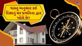 પૂર્વ કે દક્ષિણ? ઘર માટે કઈ દિશા સૌથી શુભ મનાય છે?
