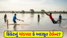 સોશિયલ મીડિયા પર વાયરલ થયો અનોખો 'વોટર ક્રિકેટ' વીડિયો