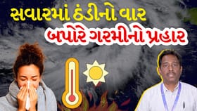 શિયાળાનો અંત કે ઉનાળાની શરૂઆત? ગુજરાતમાં હવામાનનું ઘમાસાણ