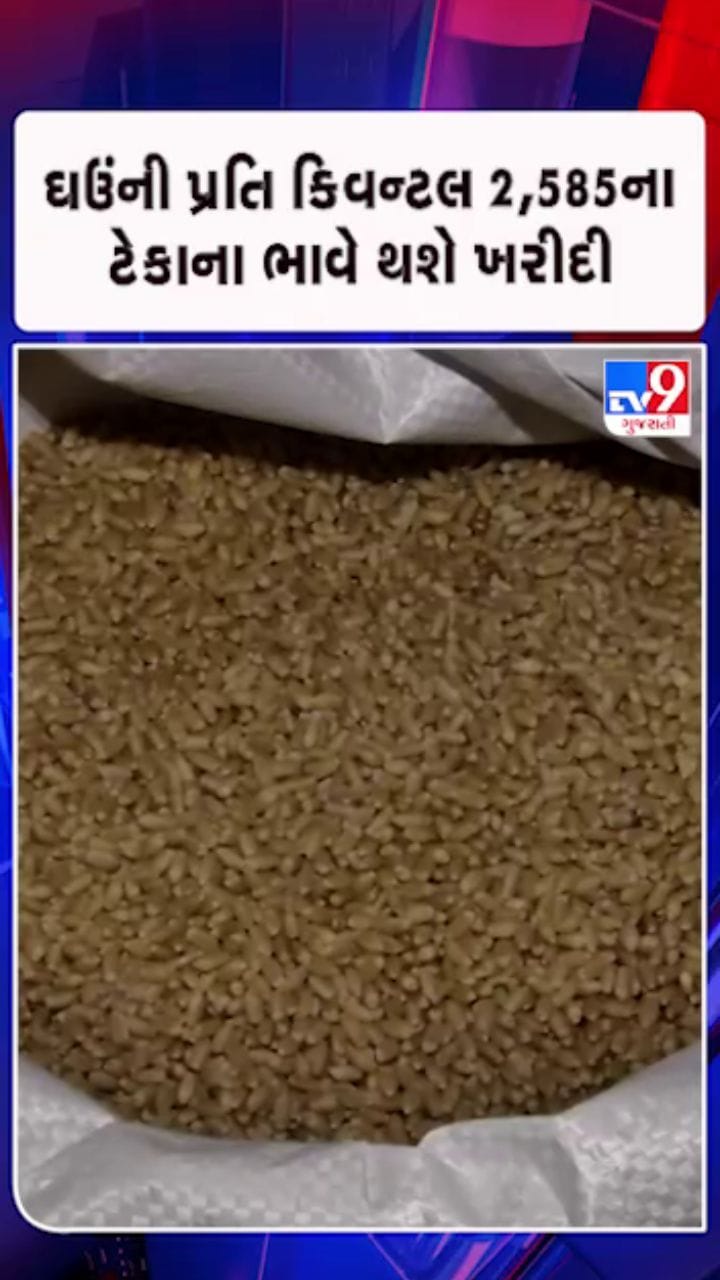 ઘઉંના ટેકાના ભાવે ખરીદીની તારીખો જાહેર