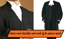 વકીલ અને એડવોકેટ વચ્ચે શું તફાવત છે? જાણો કોણ લડી શકે છે કોર્ટમાં કેસ